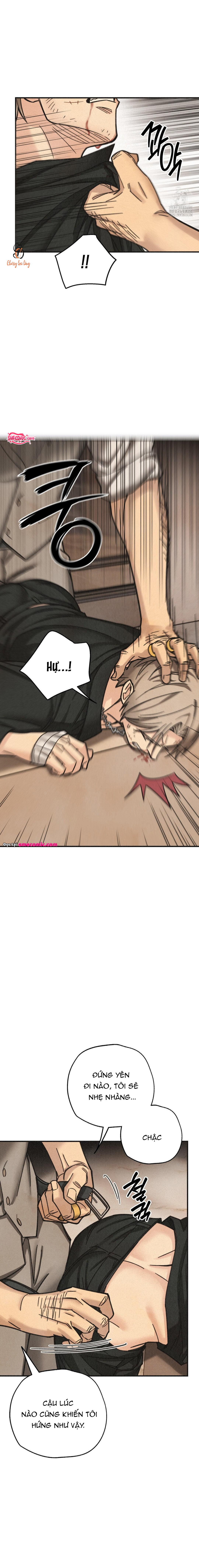 Chapter 1138