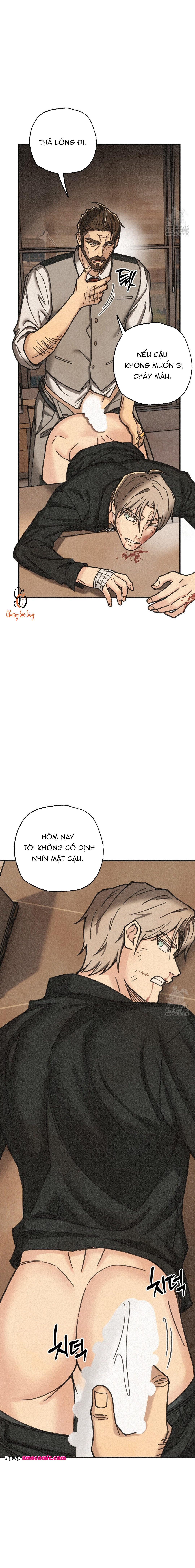 Chapter 1138