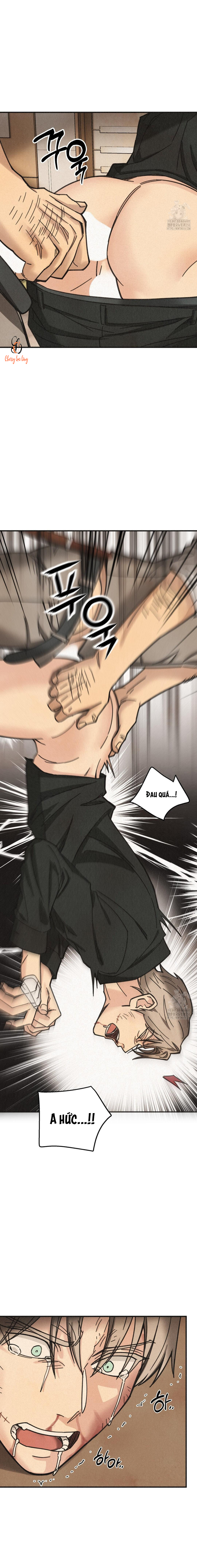 Chapter 1138