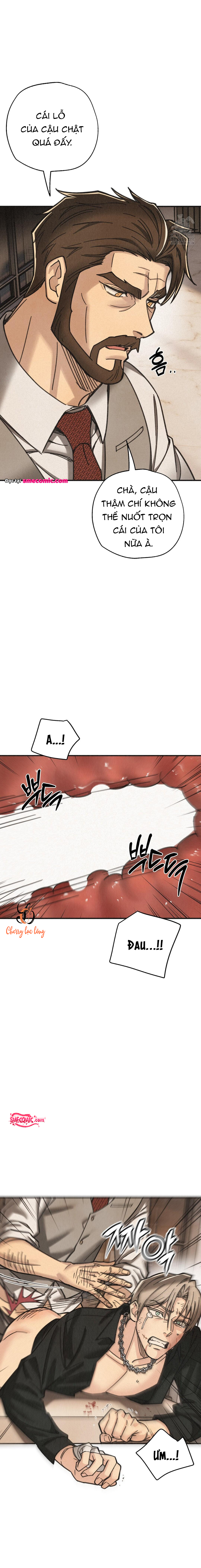 Chapter 1138