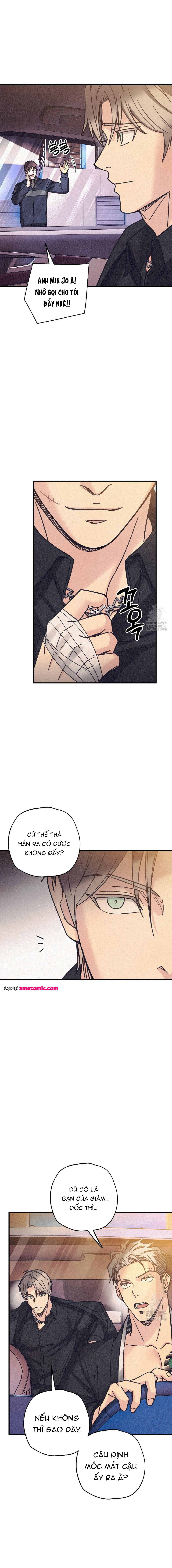 Chapter 1137