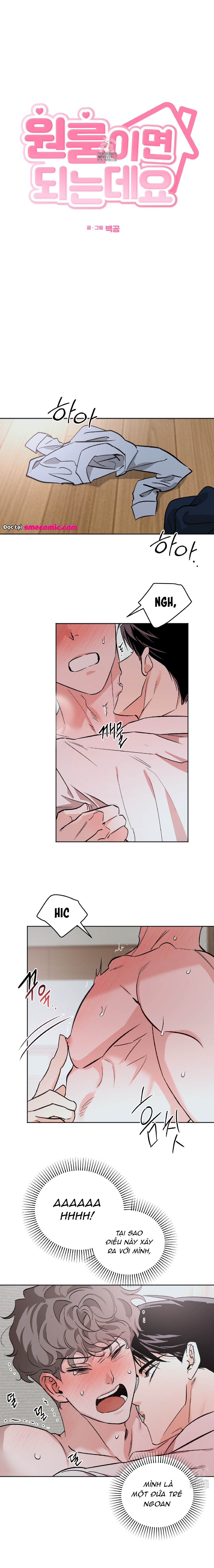 Chapter 804
