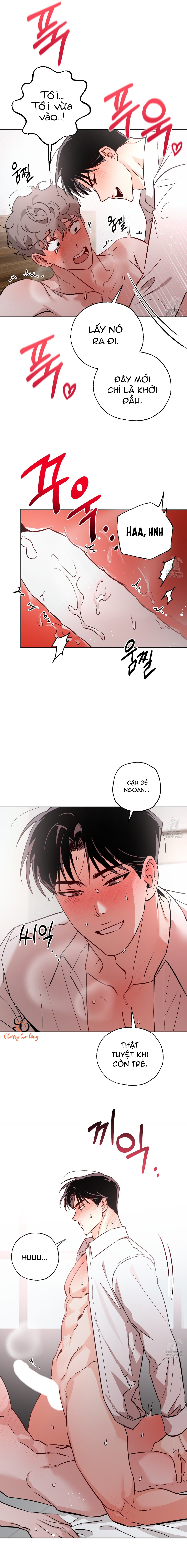 Chapter 804