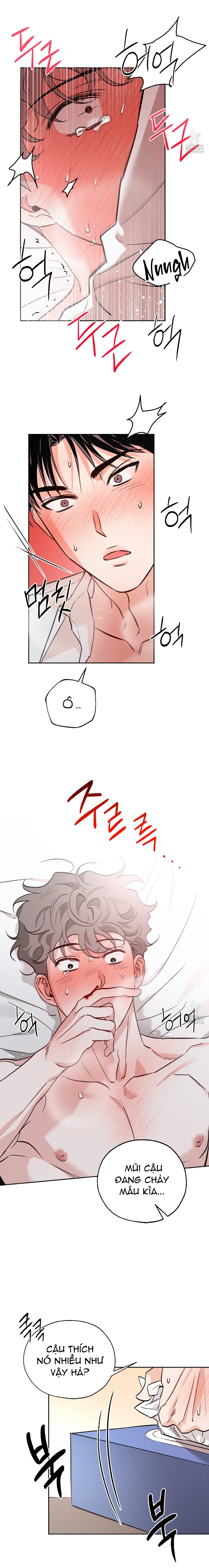 Chapter 804