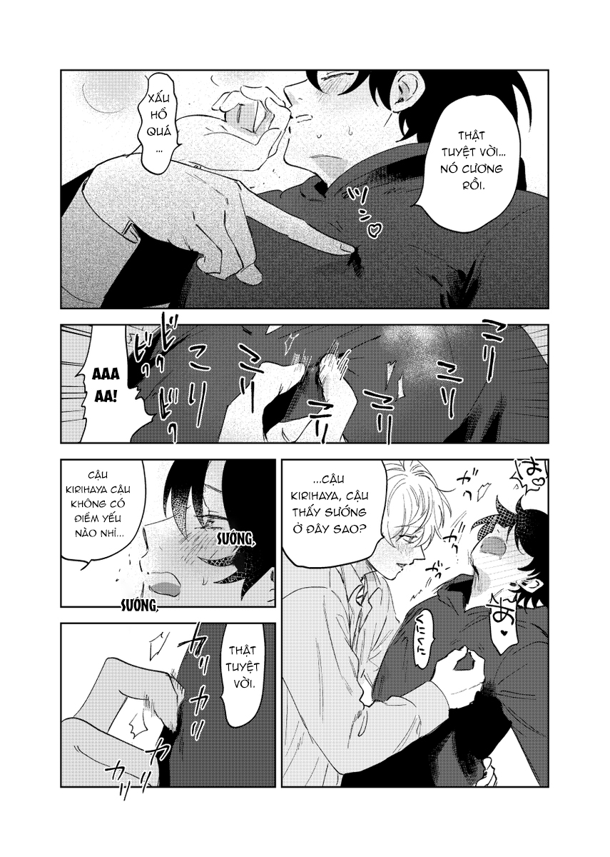 Chapter 904
