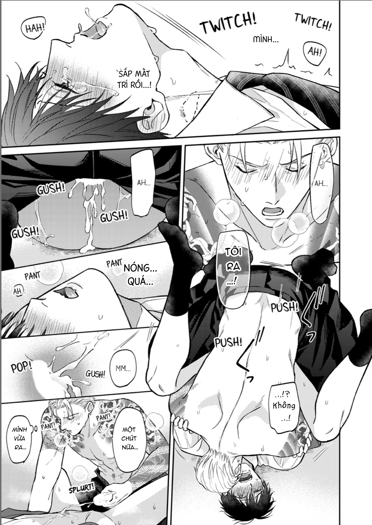 Chapter 956