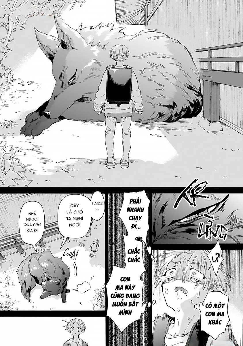 Chapter 961