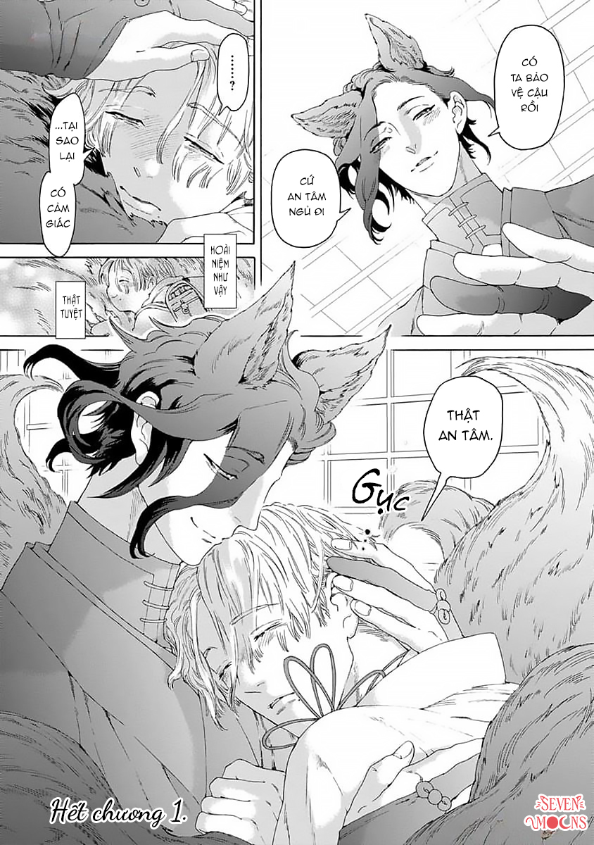 Chapter 960