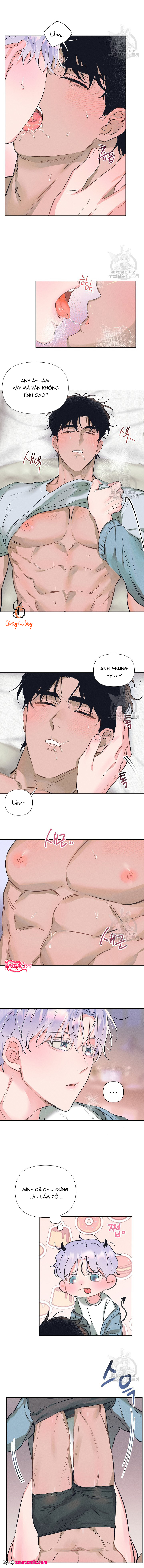 Chapter 982