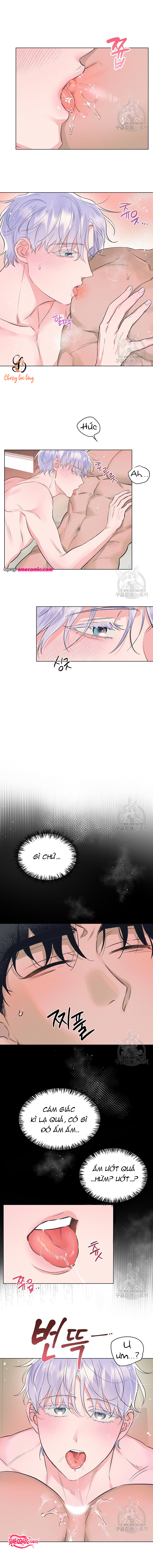 Chapter 982