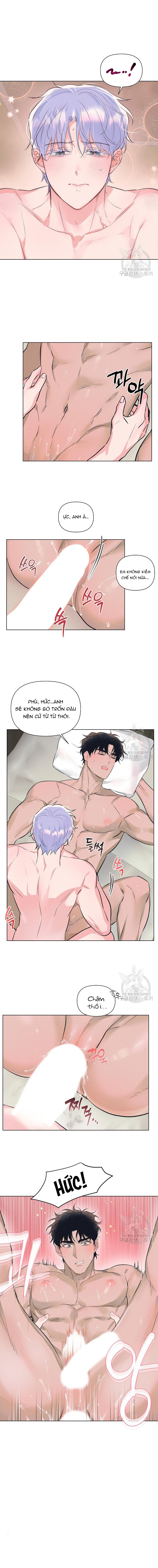 Chapter 982