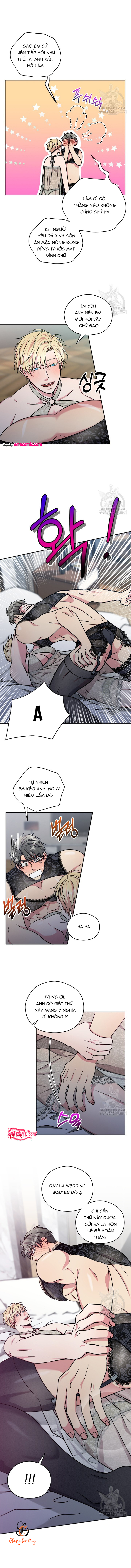 Chapter 995