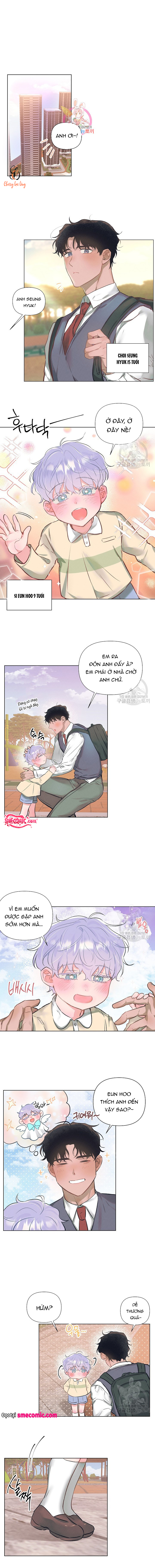 Chapter 978