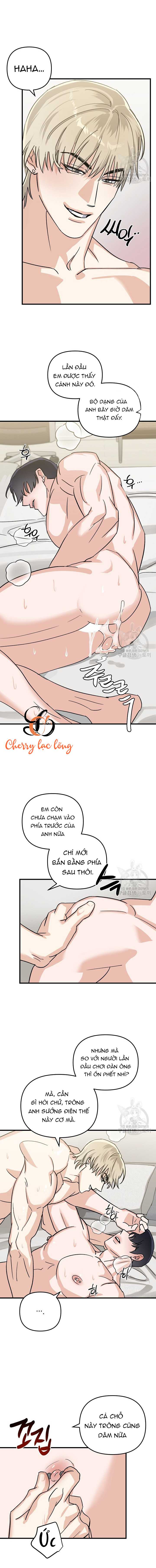 Chapter 1133
