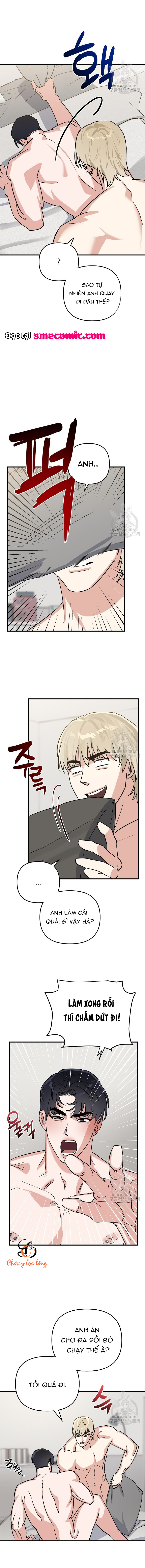 Chapter 1133