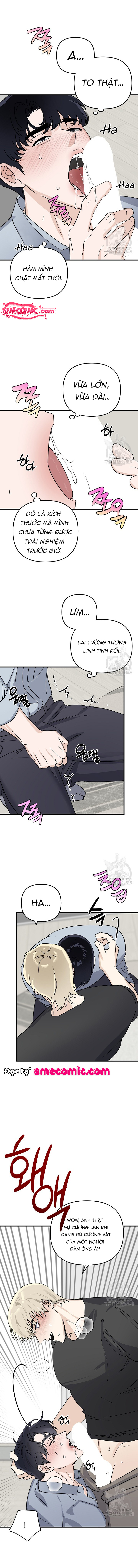 Chapter 1132