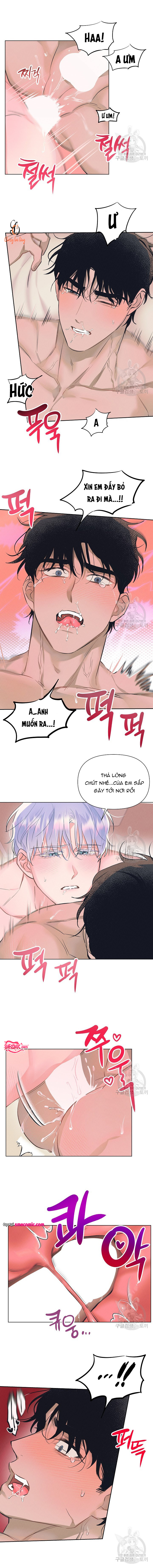 Chapter 983