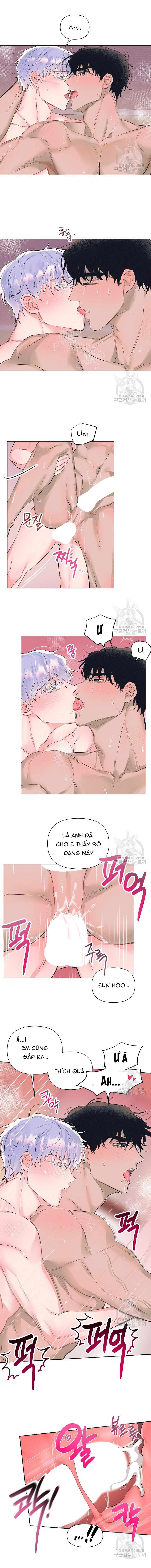Chapter 983