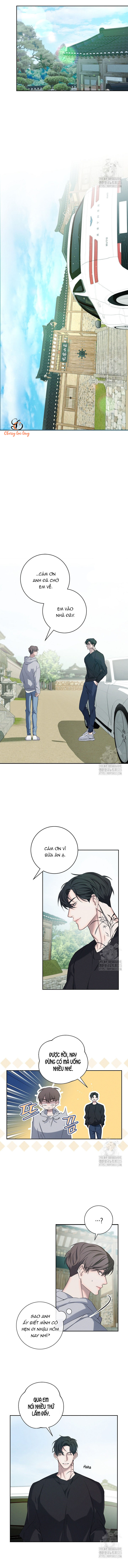 Chapter 1069
