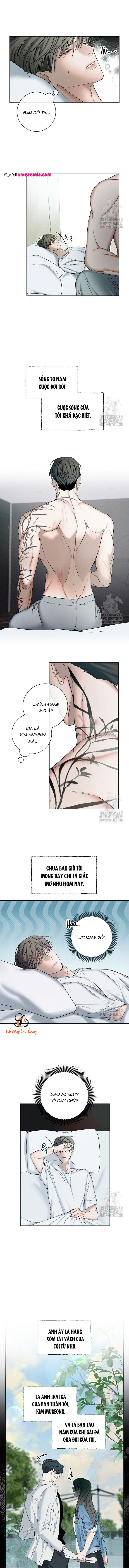 Chapter 1069