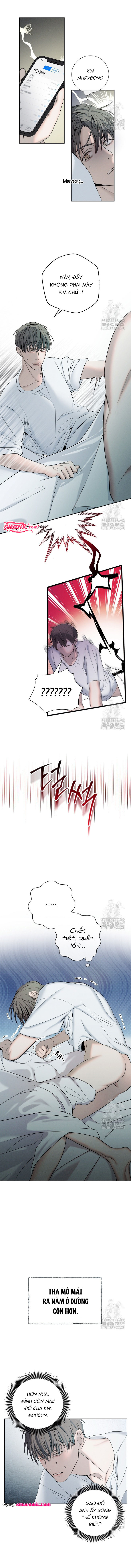 Chapter 1069