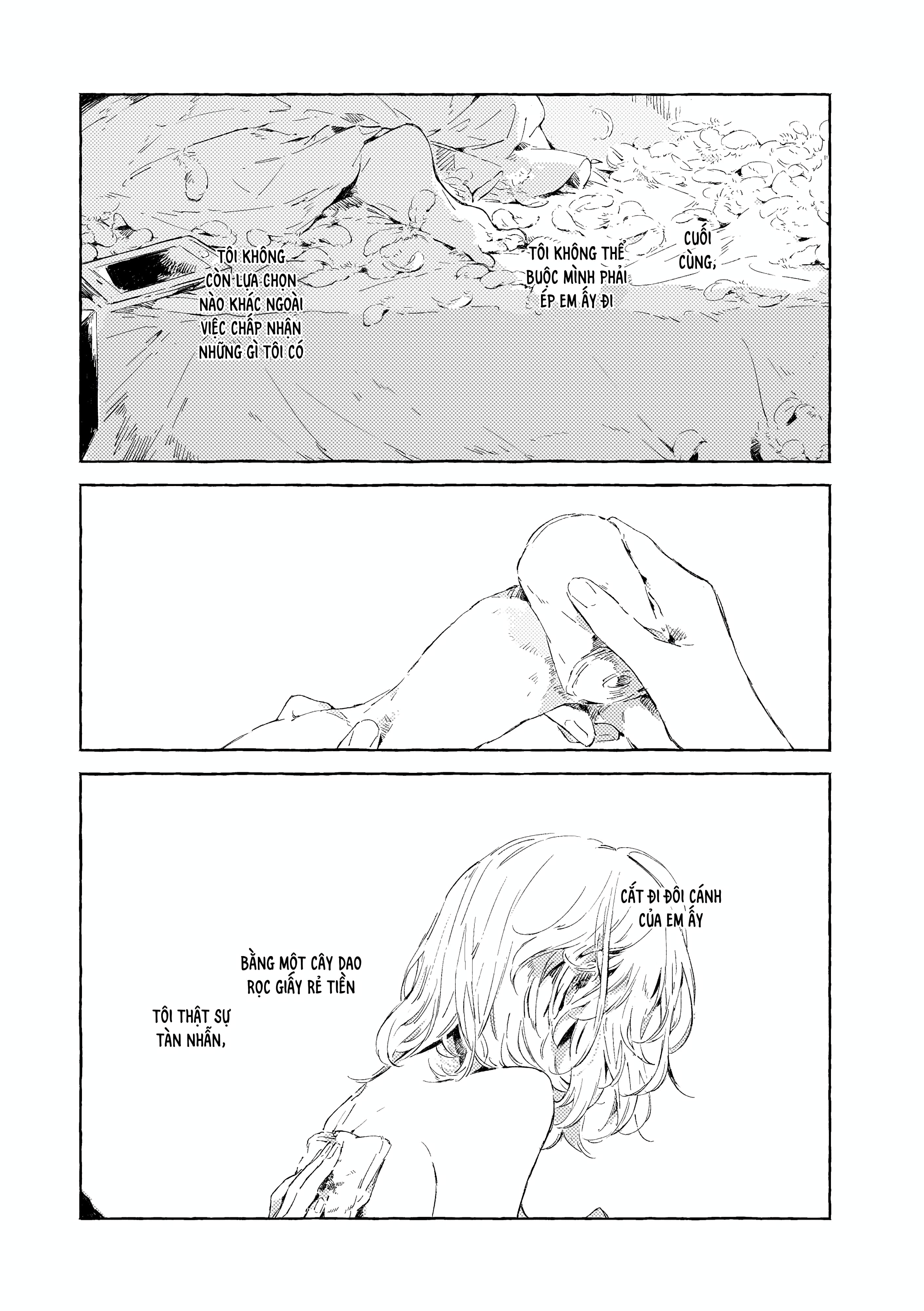 Chapter 1116
