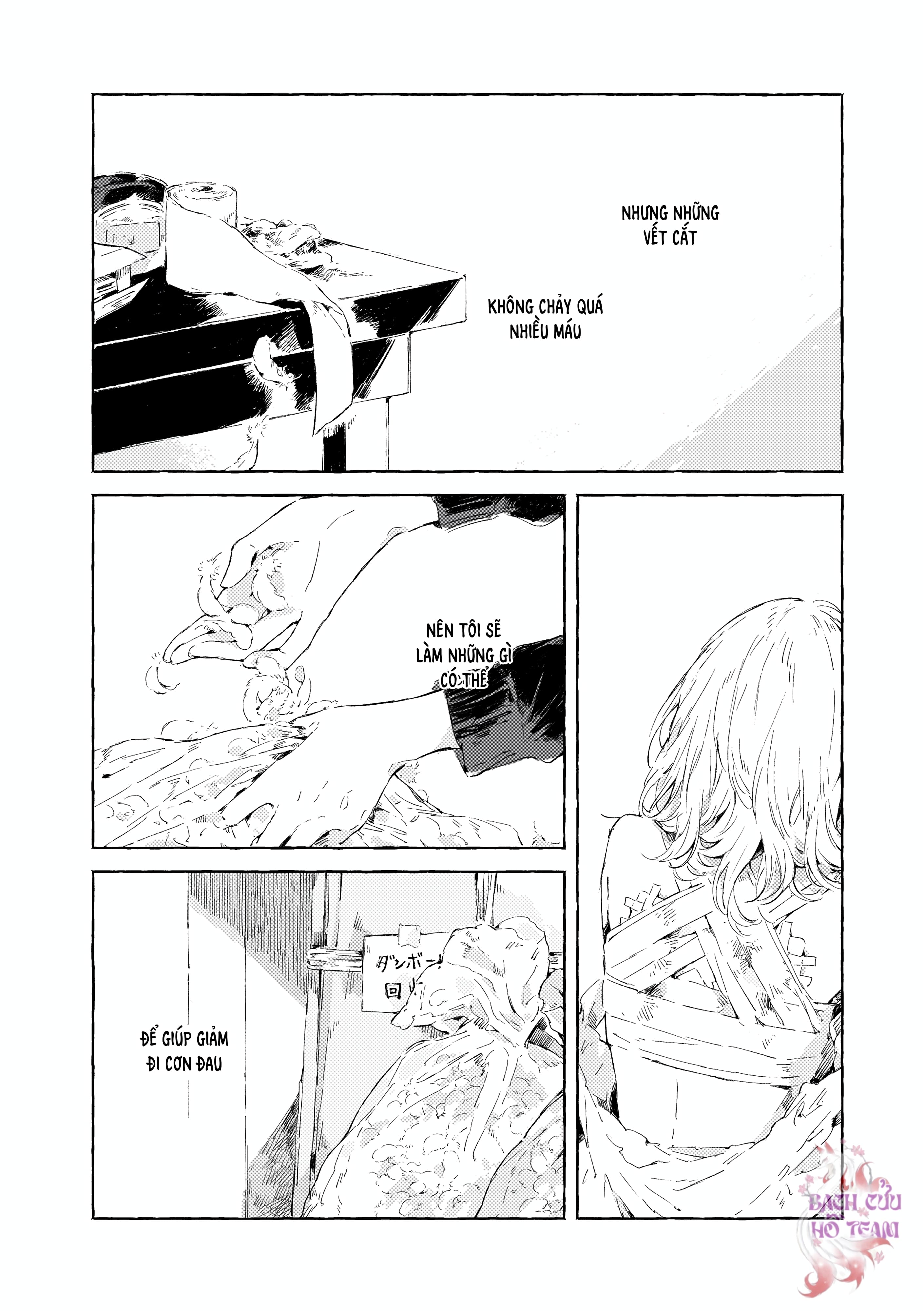 Chapter 1116