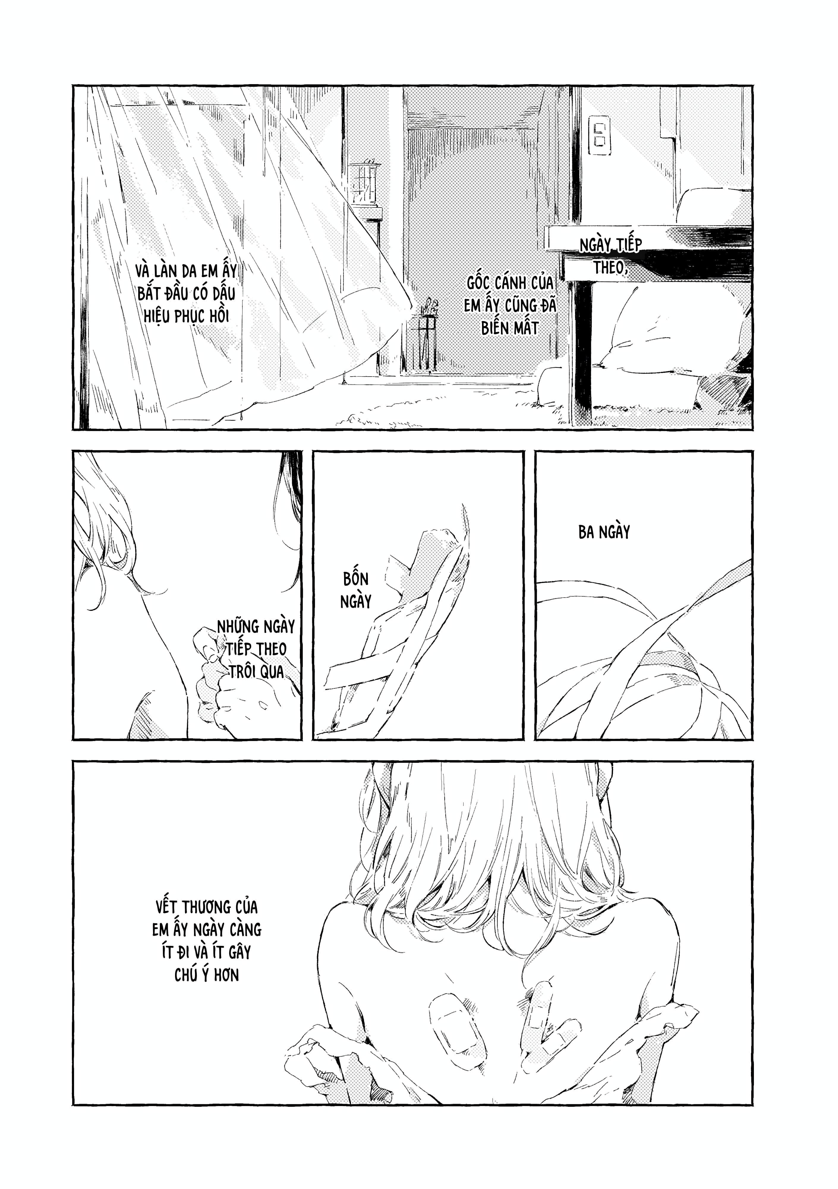 Chapter 1116