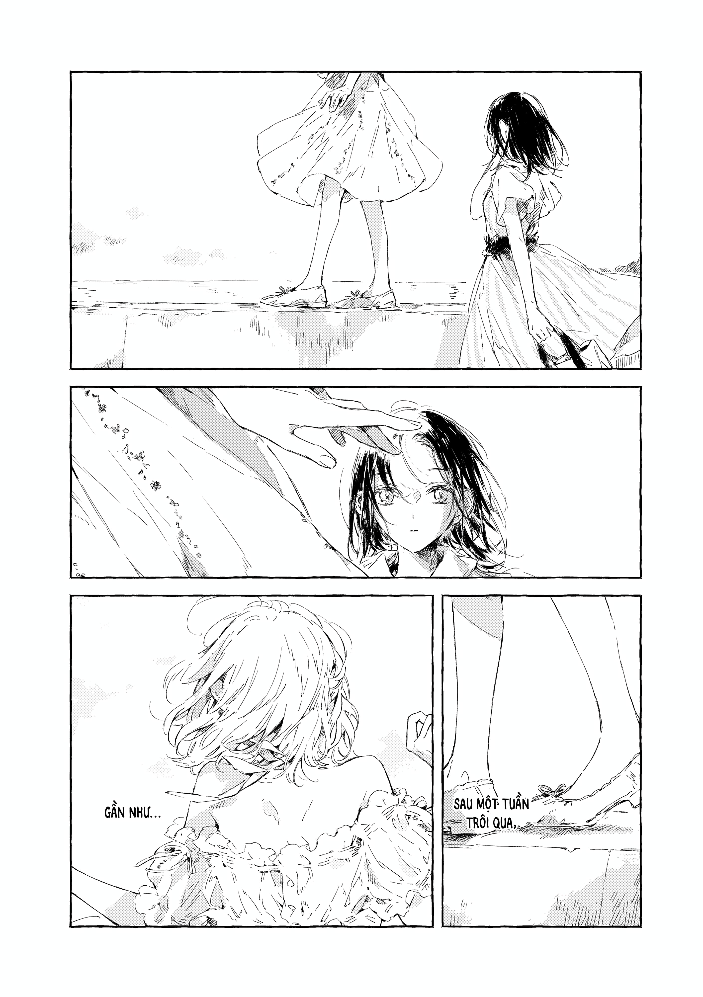 Chapter 1116