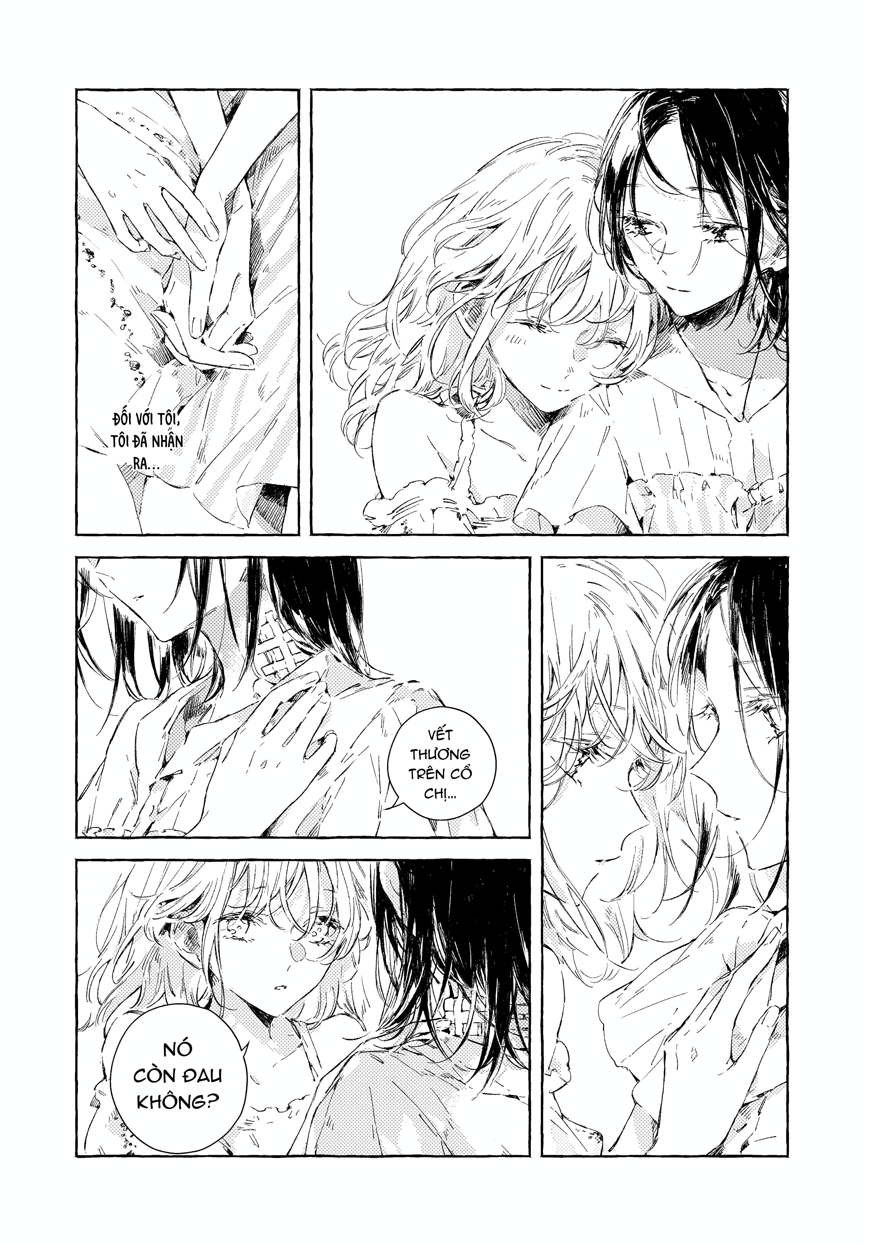Chapter 1116