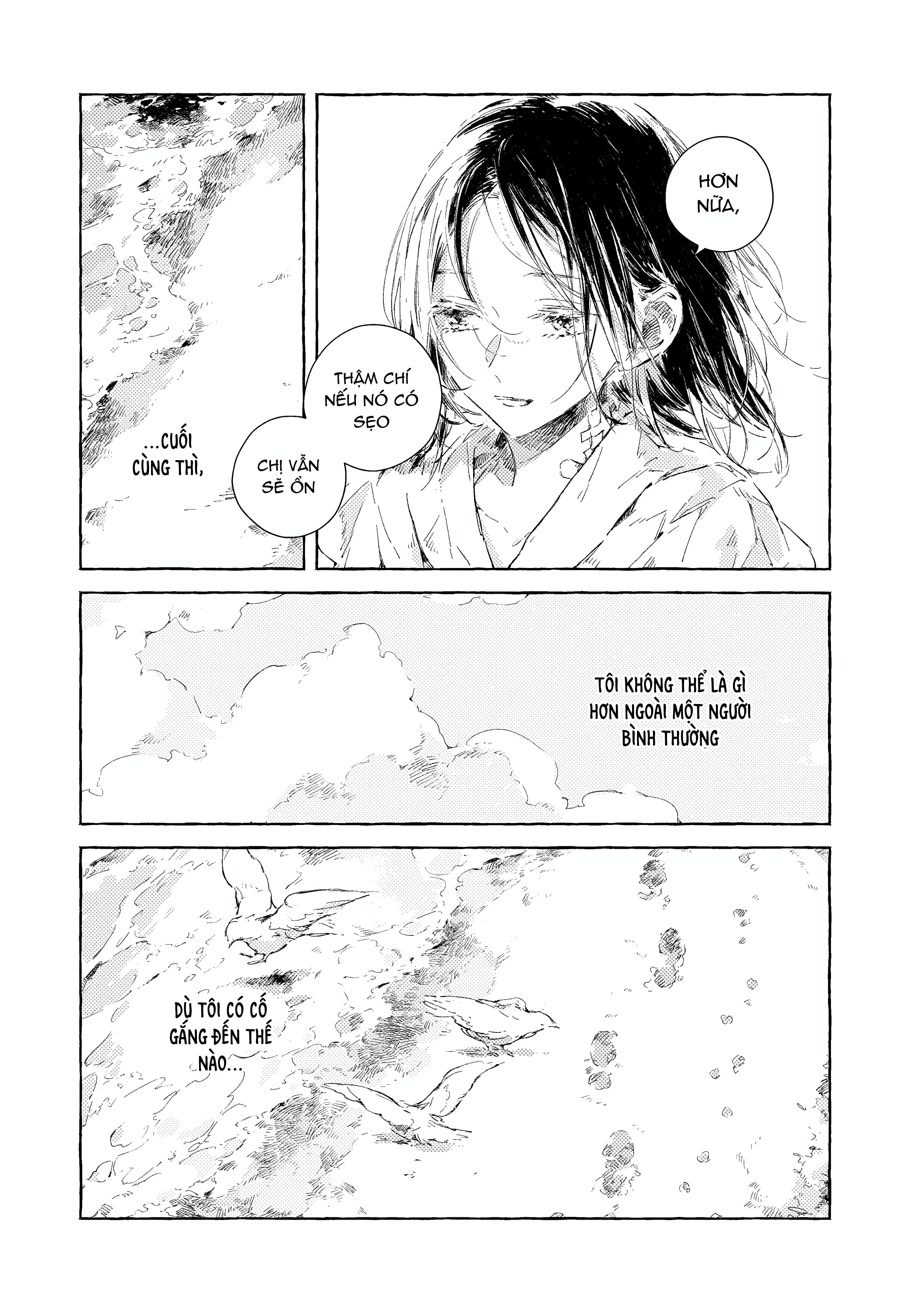 Chapter 1116