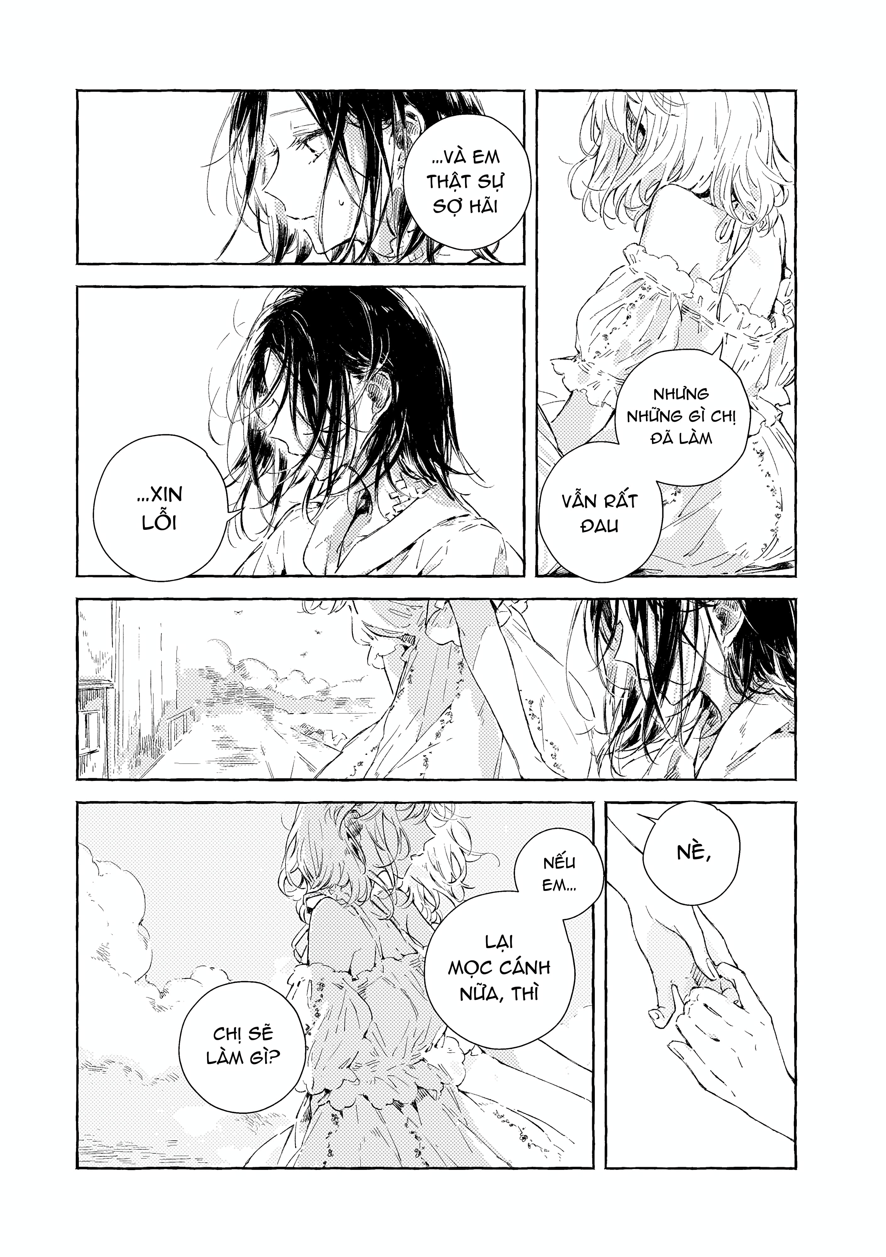 Chapter 1116