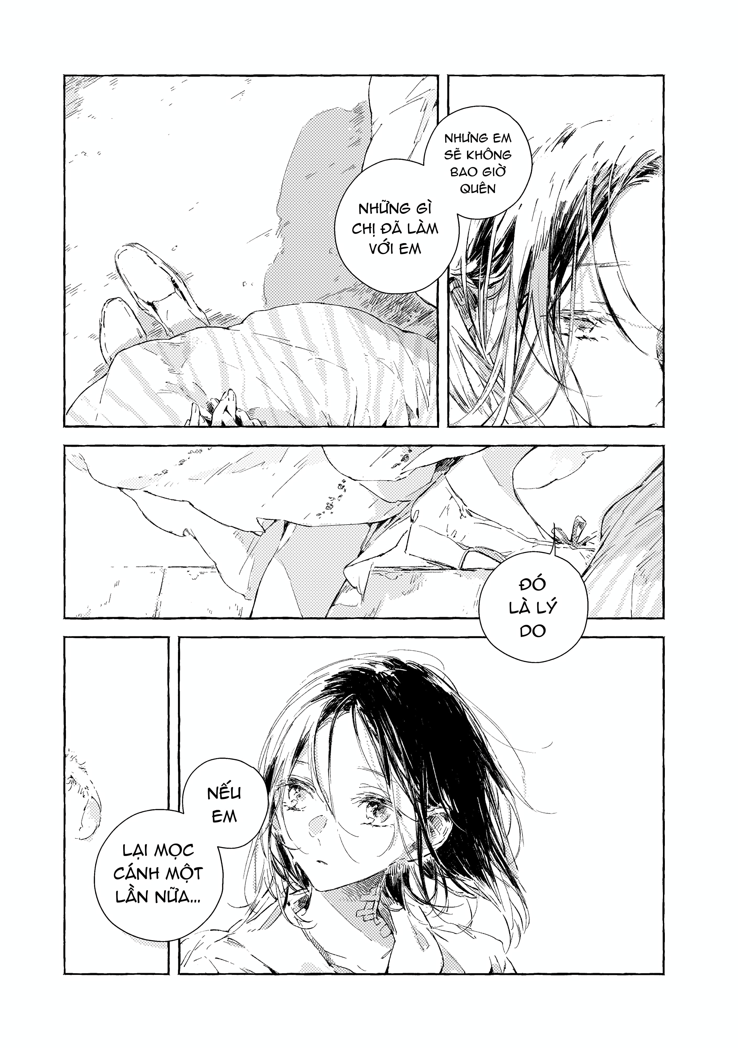 Chapter 1116