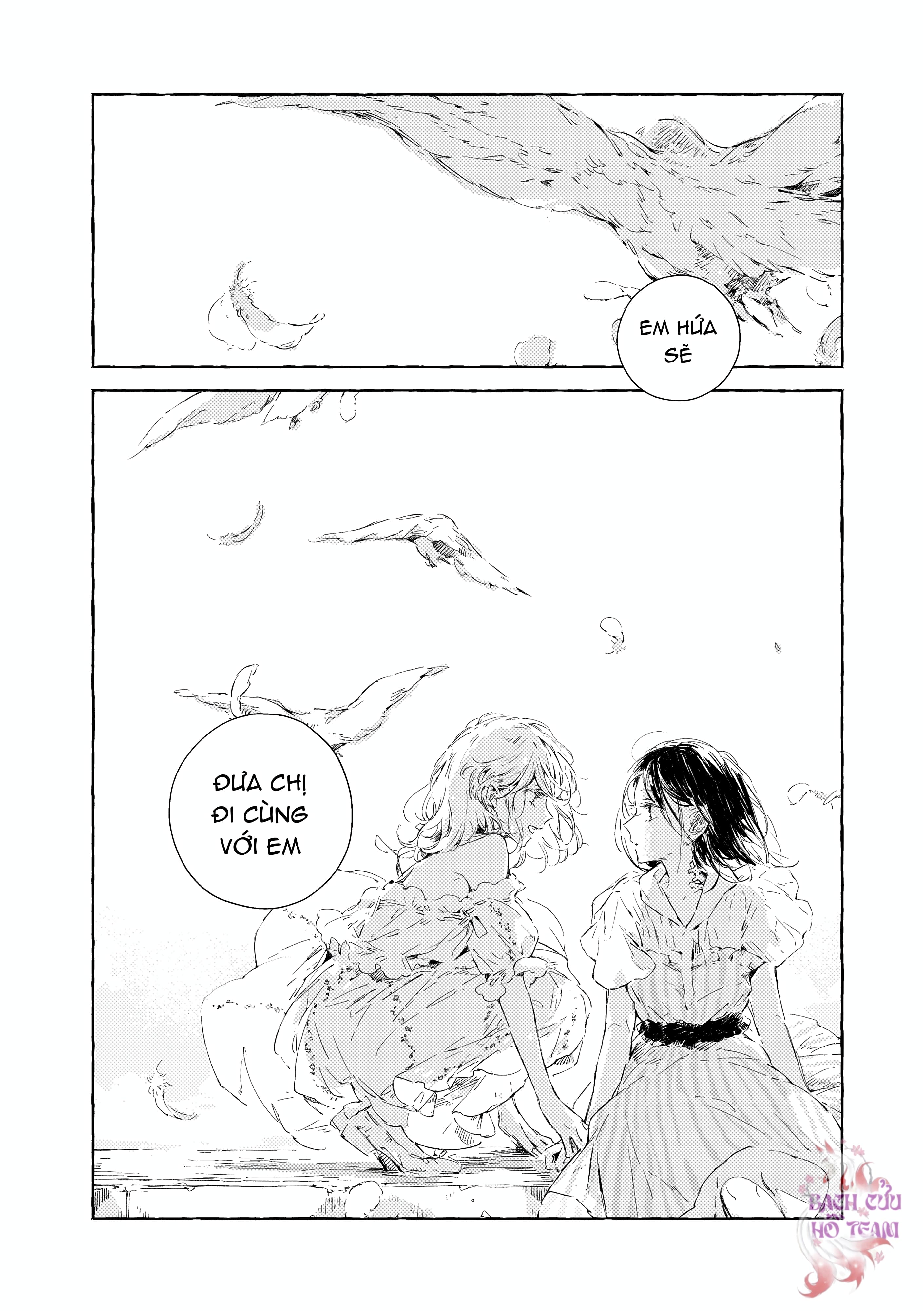 Chapter 1116
