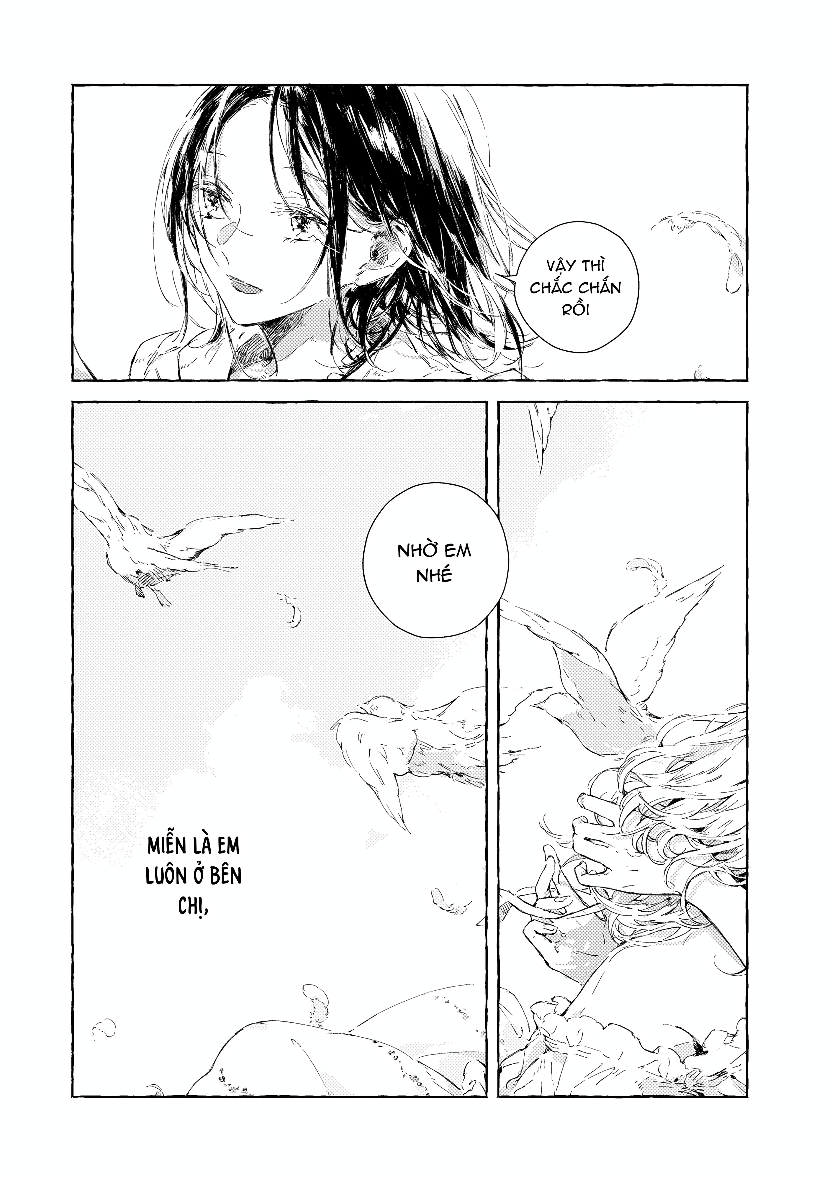 Chapter 1116