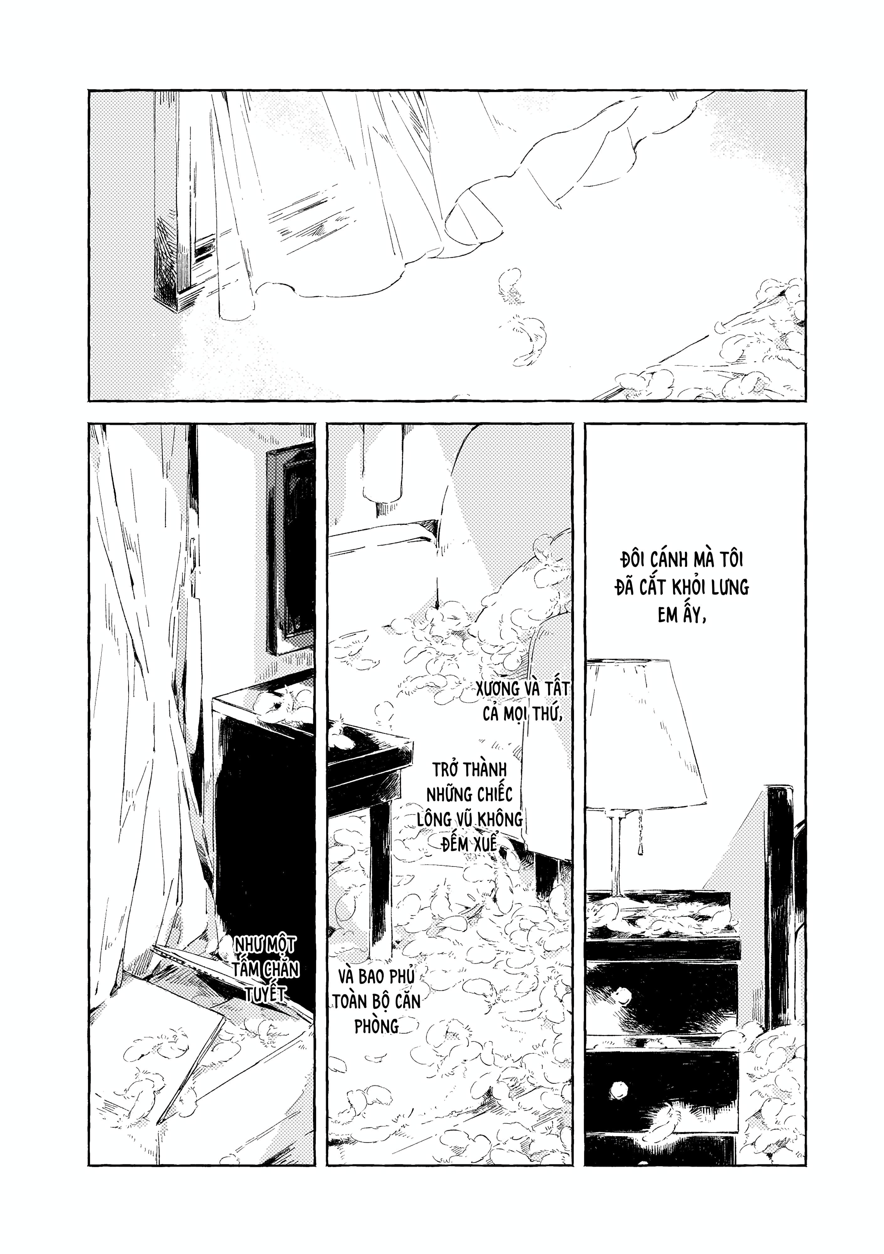 Chapter 1116