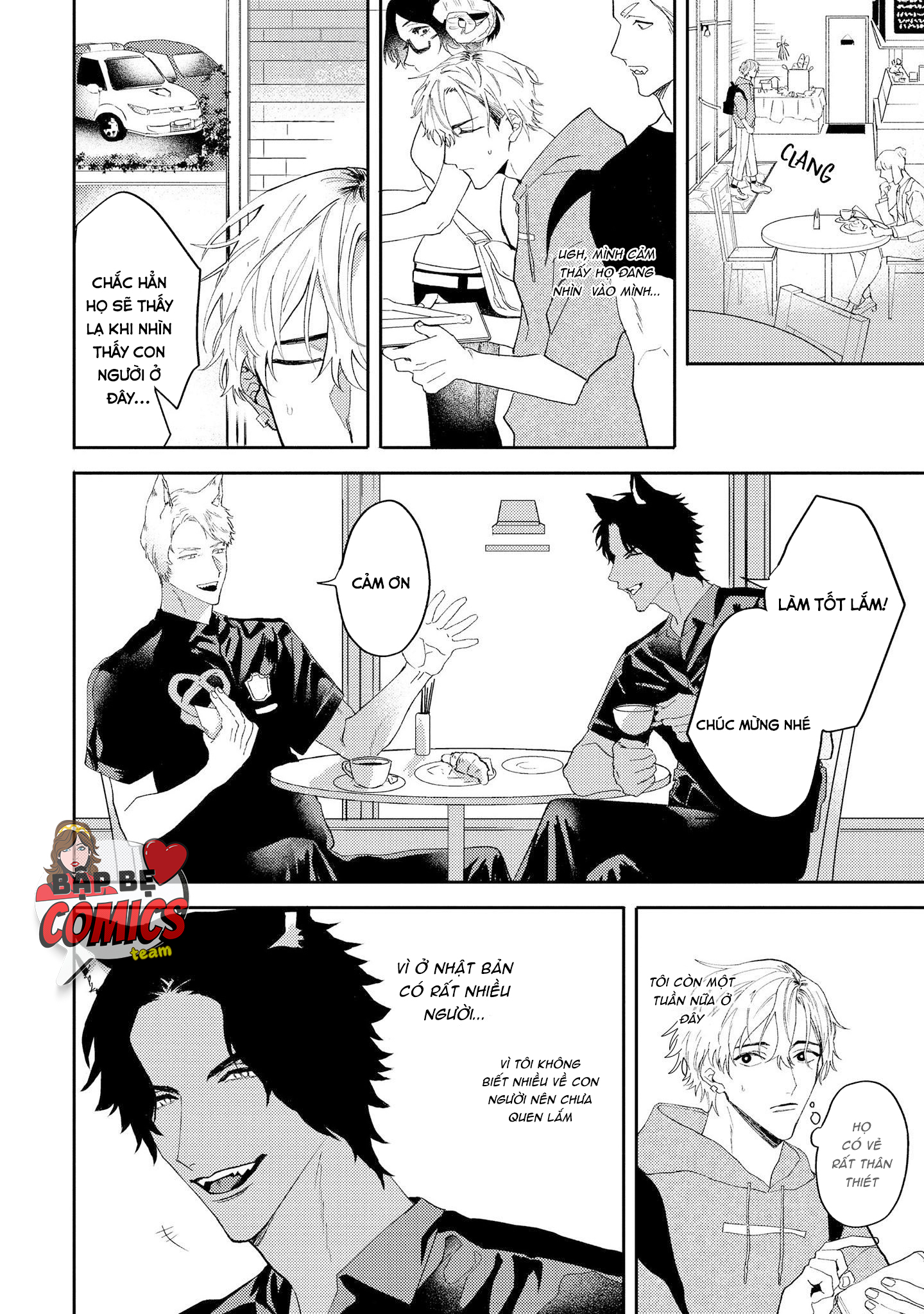 Chapter 1128