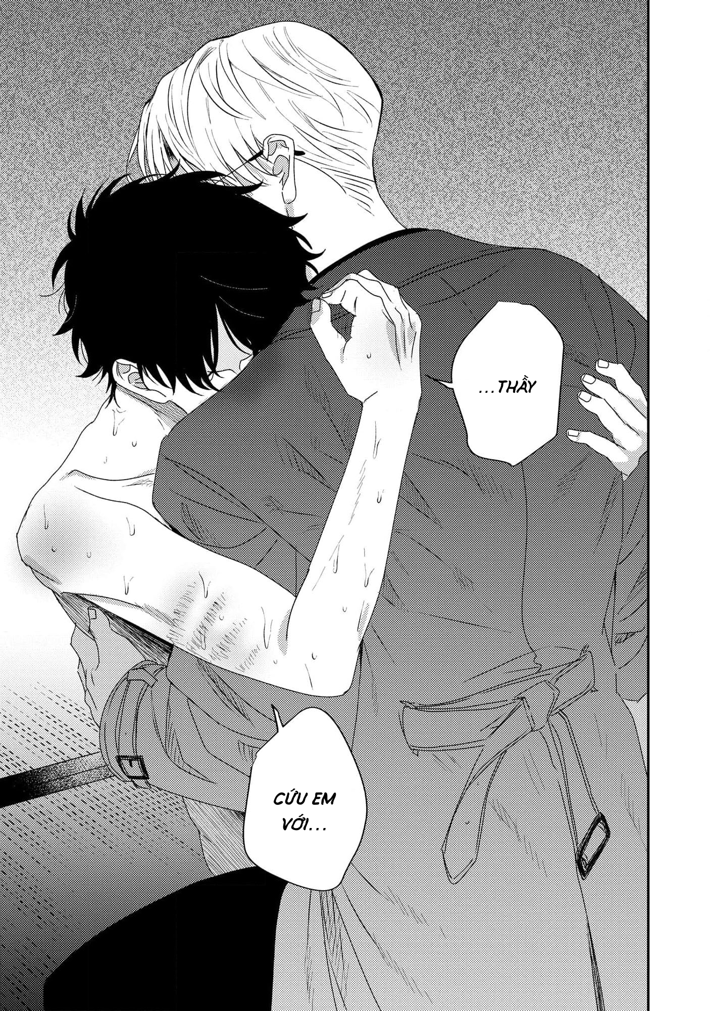 Chapter 1146
